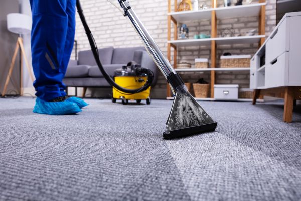 Carpet Deep Cleaning in Freehold