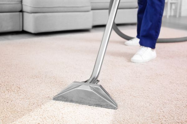 Apartment Carpet Cleaning in Freehold