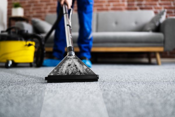 Residential Carpet Cleaning in Freehold
