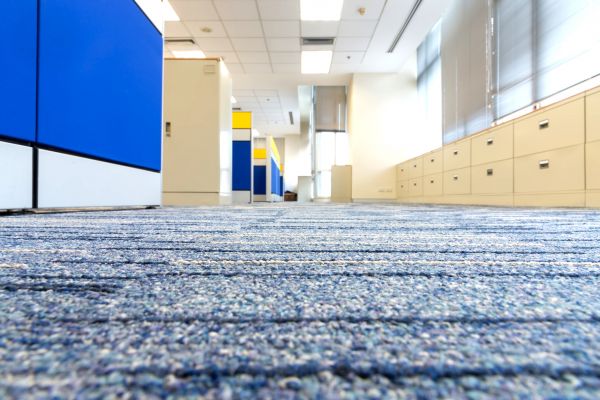 Business Carpet Cleaning in Freehold