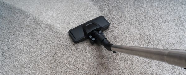 Condo Carpet Cleaning in Freehold